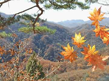 長(zhǎng)沙不銹鋼冷庫(kù)公司排名揭曉，行業(yè)影響力與專(zhuān)業(yè)性一覽